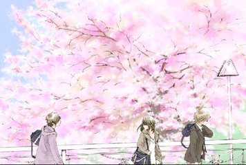 51暗网永久域名